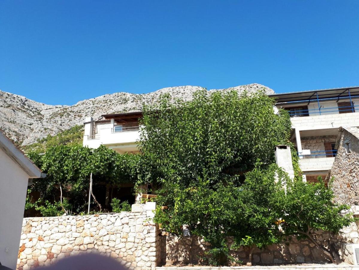 Apartment With A Parking Space Ivan Dolac, Hvar - 8753 Ivan Dolac